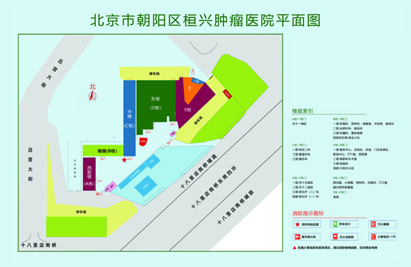 大鸡巴操骚逼视频好爽再深点北京市朝阳区桓兴肿瘤医院平面图